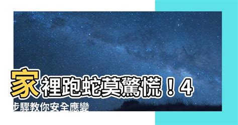 家裡跑蛇|蛇類不登門│居家防蛇驅蛇有撇步 中西購安心